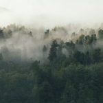 Psalm 142:1 Devotional header