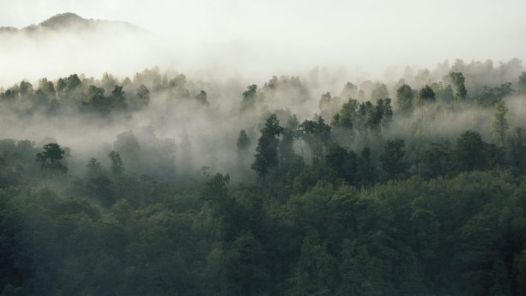 Psalm 142:1 Devotional header