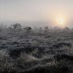 Psalm 30:5 Devotional