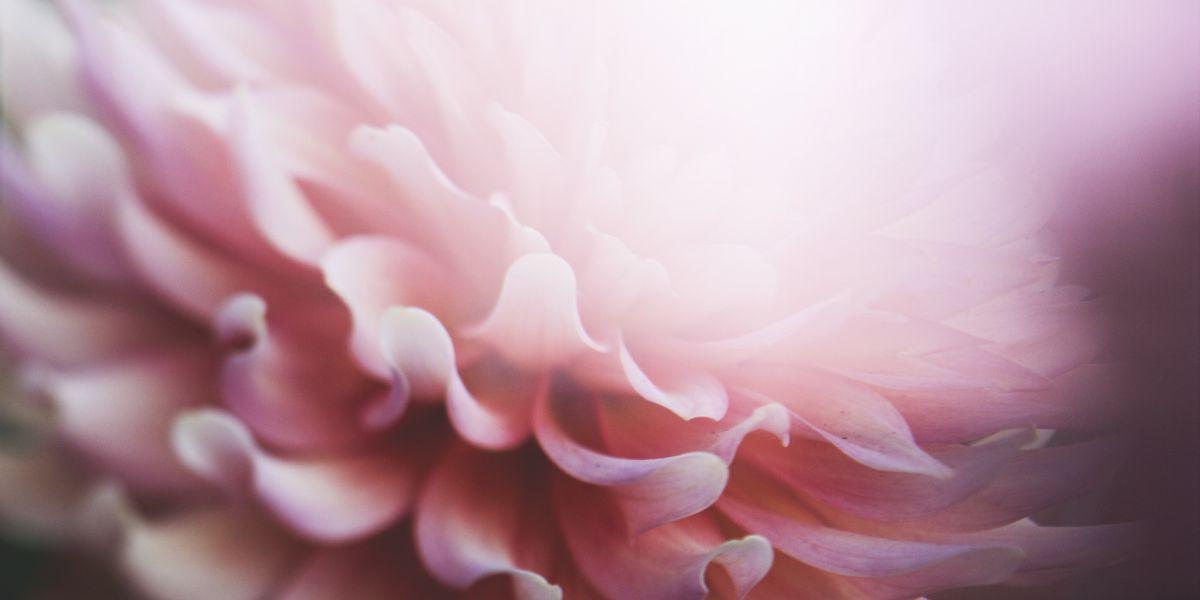 A devotional for Pentecost