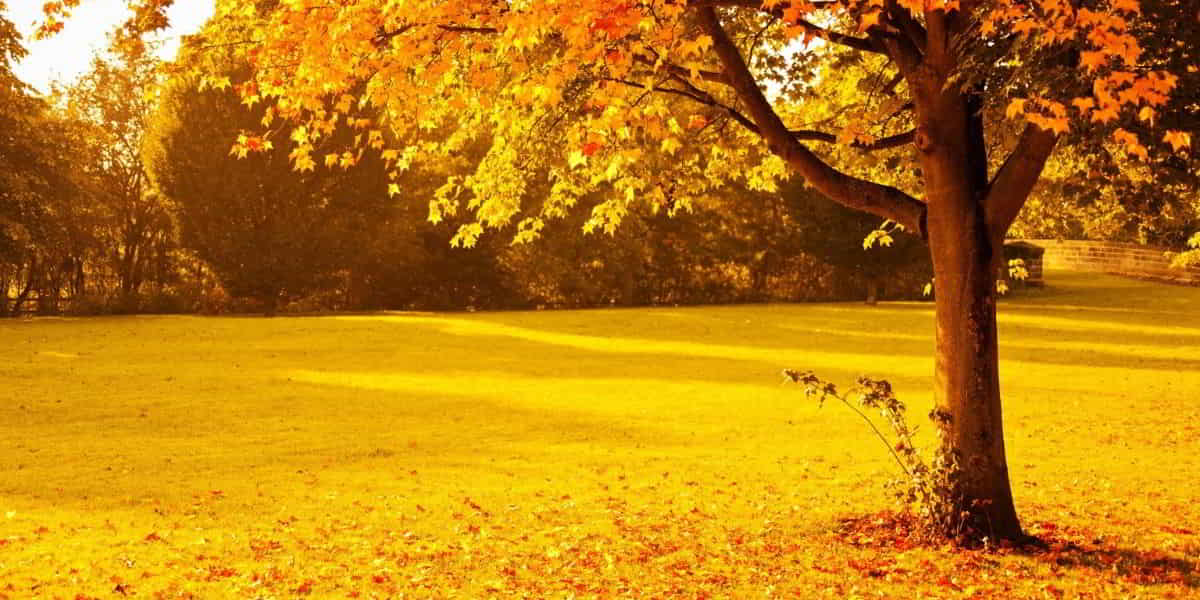 Hating your father and mother controversial teaching of Jesus