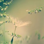 "And God is able to make all grace abound to you, so that in all things, at all times, having all that you need you will abound in every good work" - Devotional