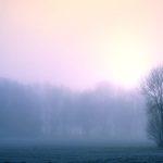 Honor God with your first fruits banner