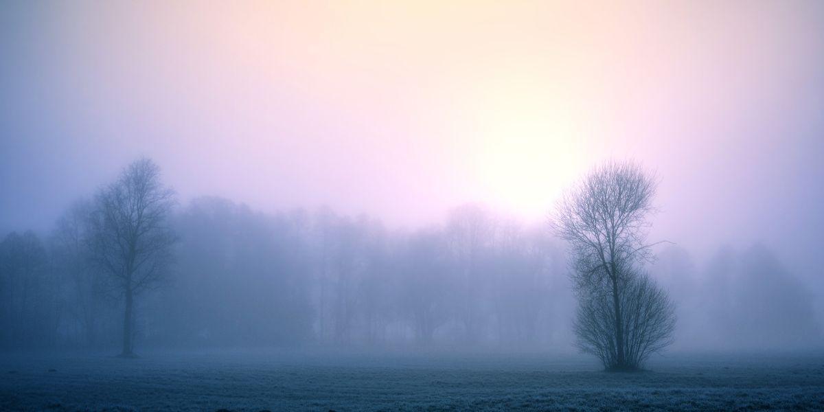 Honor God with your first fruits banner