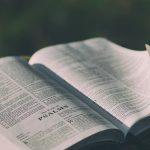 Read the Bible in 7 Steps