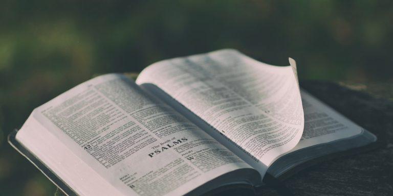 Read the Bible in 7 Steps