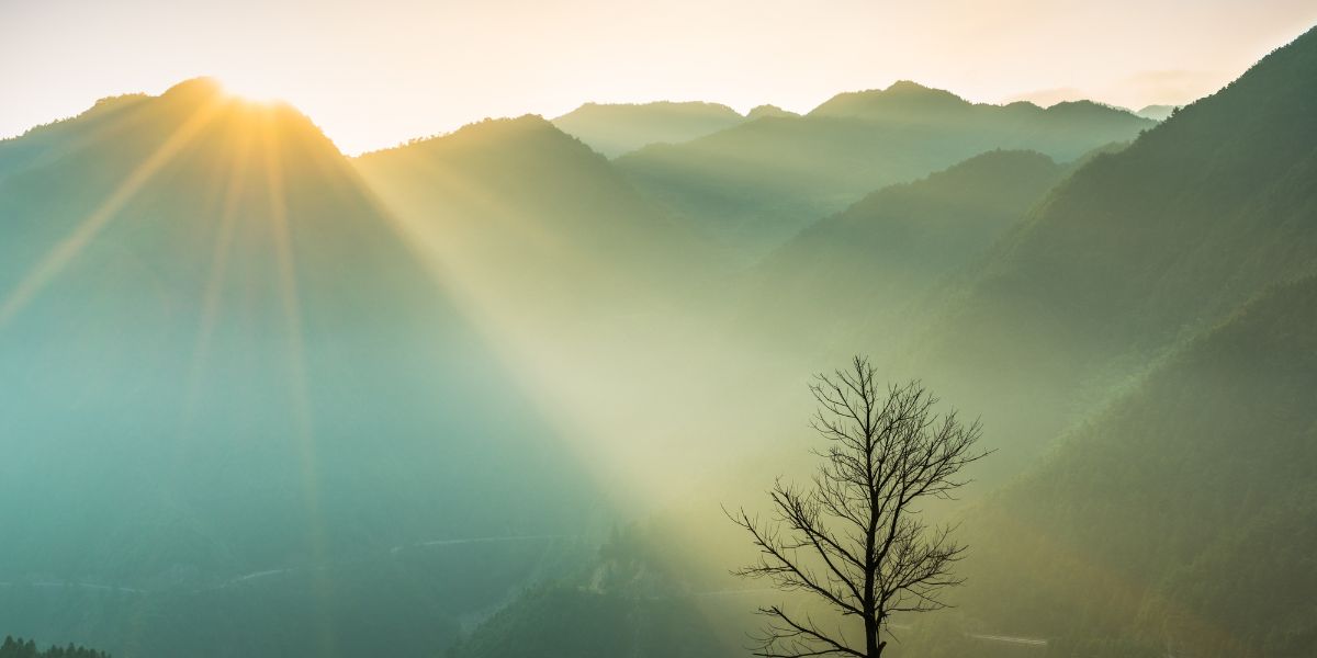 The Lord Is My Shepherd Devotional Banner