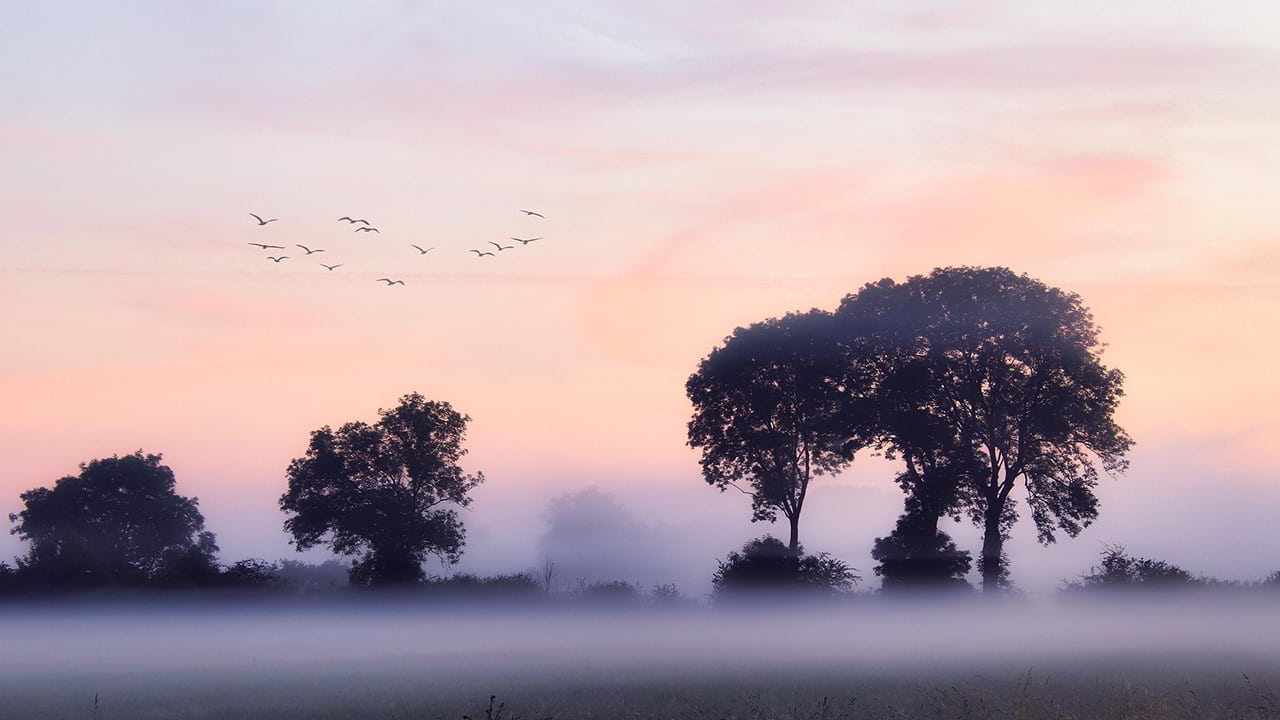 Scripture Of The Day