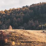 Proverbs 13:16 Devotional Banner