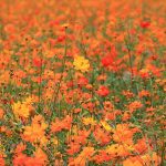 God's example for rest