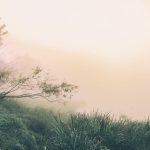 Bible verses about forgiveness - bible study