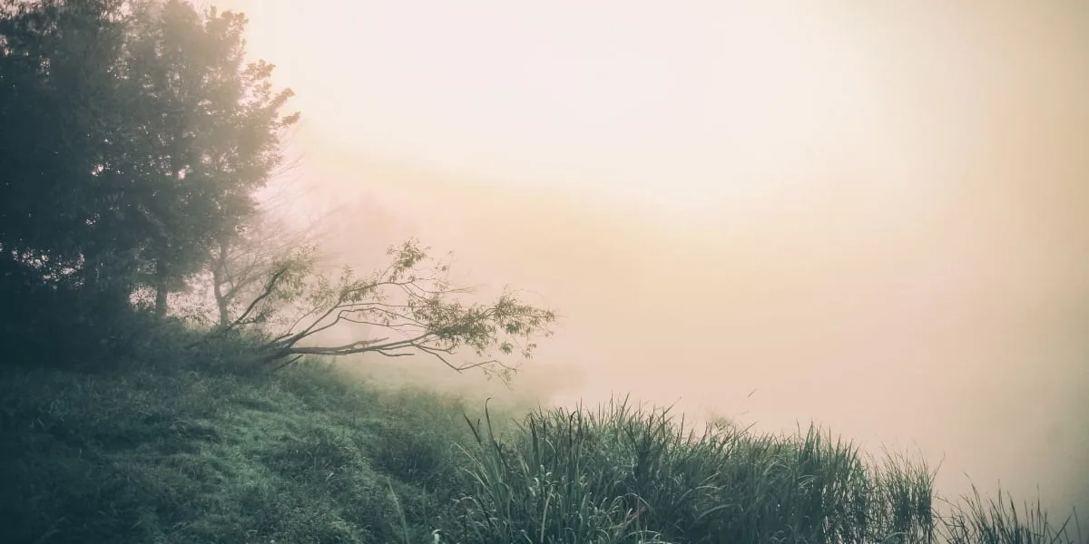 Bible verses about forgiveness - bible study