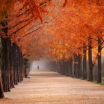 Devotional about rest - Matthew