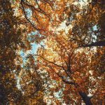 James 1:5 bible study banner