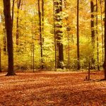 waiting on God banner