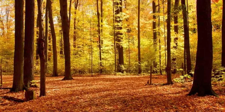 waiting on God banner