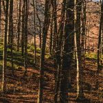 James 3:17 Devotional Banner