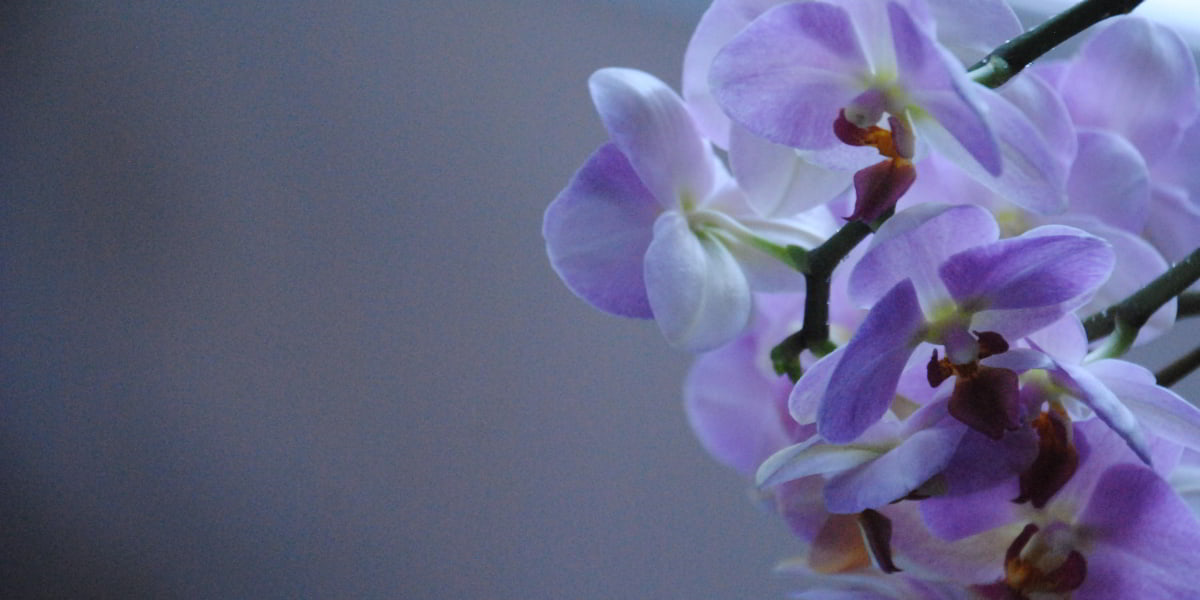 Bible verse about healing sickness