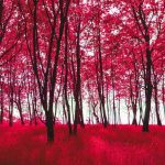 Working with all your heart for God