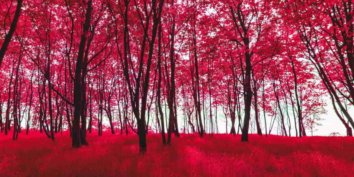 Working with all your heart for God