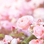 Healing addiction Christian devotional