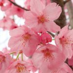 Healing broken relationships Christian devotional