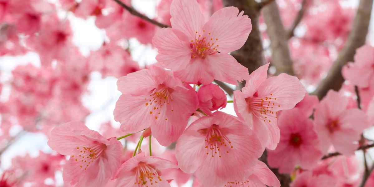 Healing broken relationships Christian devotional