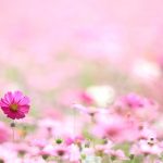 Healing trauma Christian devotional