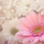 Healing when you are waiting for God devotional