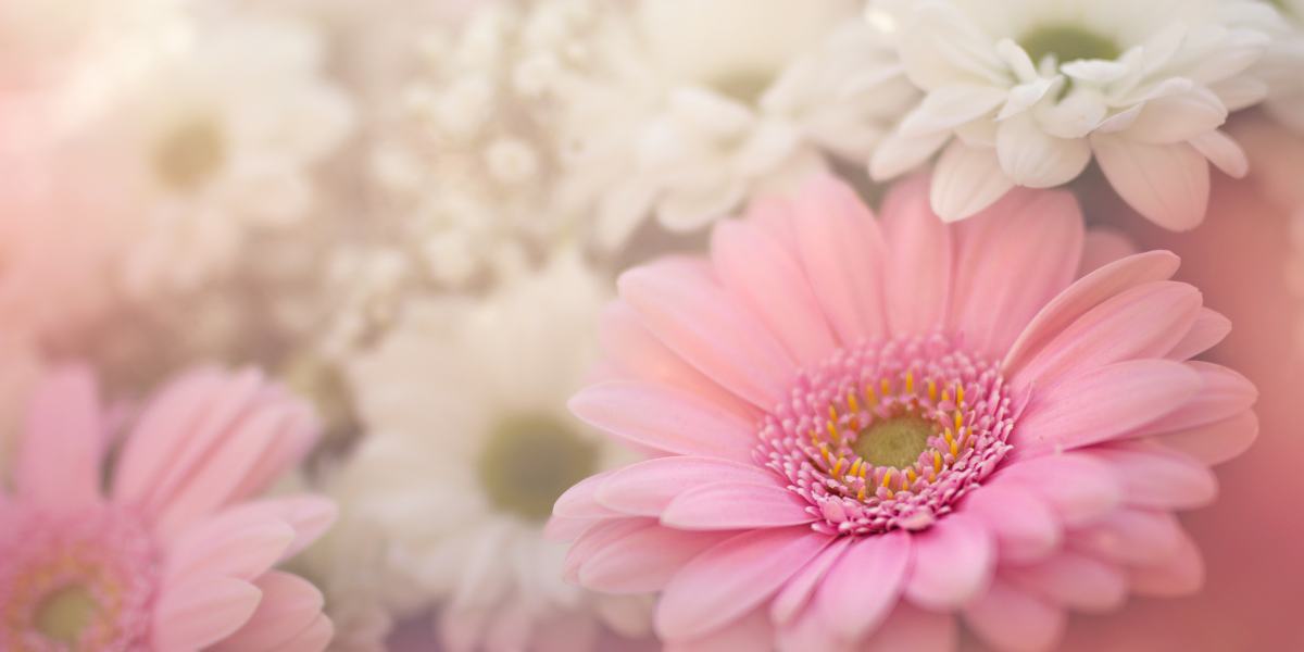 Healing when you are waiting for God devotional