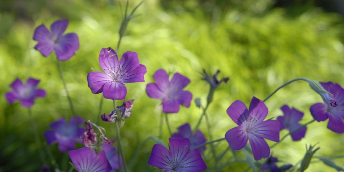 Bible verse about anxiety when making decisions