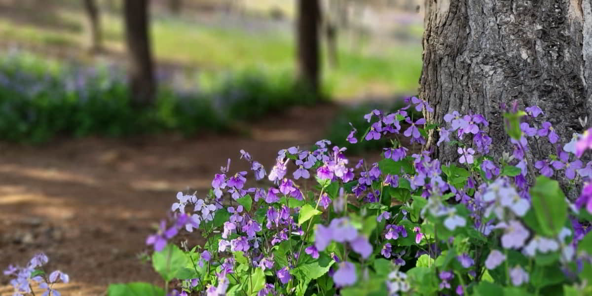 Bible verses about anxious thoughts at night