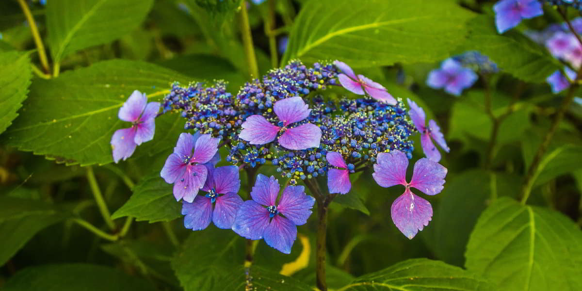 Bible verse about job worries