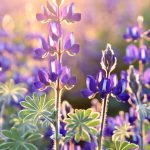 Bible verse about anxiety for your children