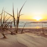 Christian Gratitude Challenge - Give thanks for a new day