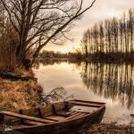 Gratitude challenge - being thankful for answered prayers