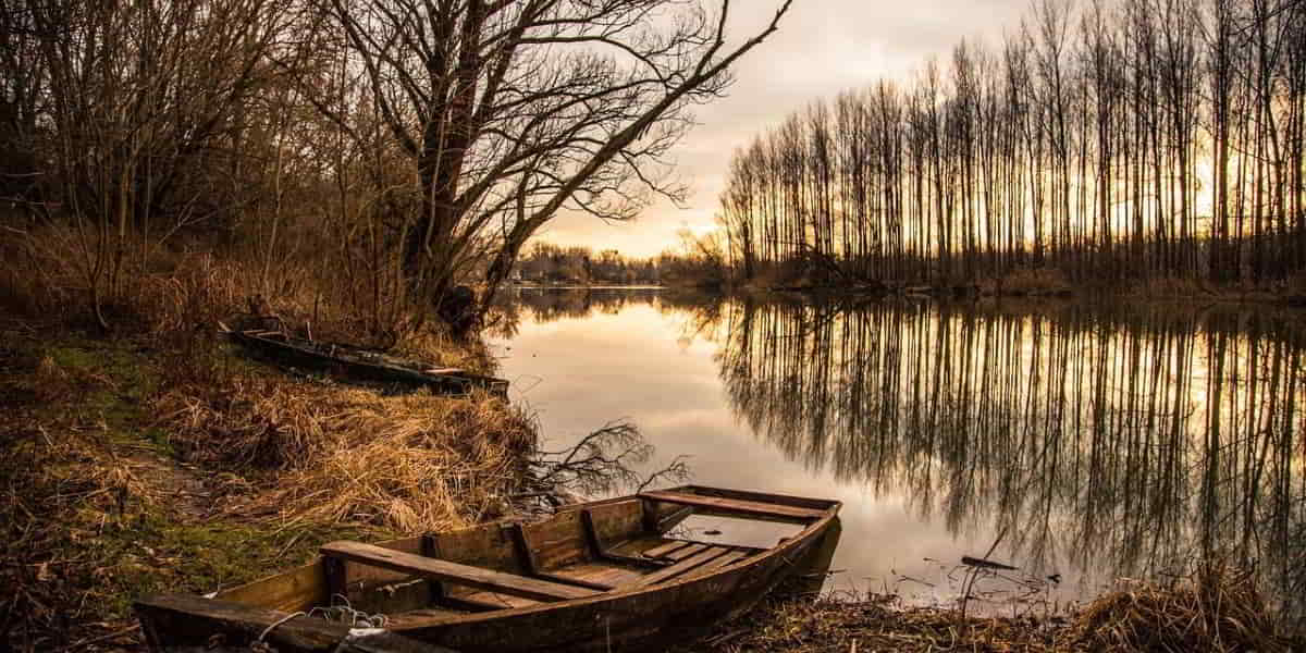 Gratitude challenge - being thankful for answered prayers