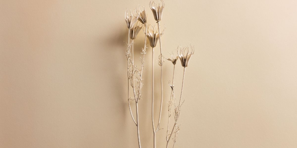 Give thanks for your family and for belonging