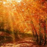 A Christmas day devotional reflection and prayer for the happy, lonely, or sad.