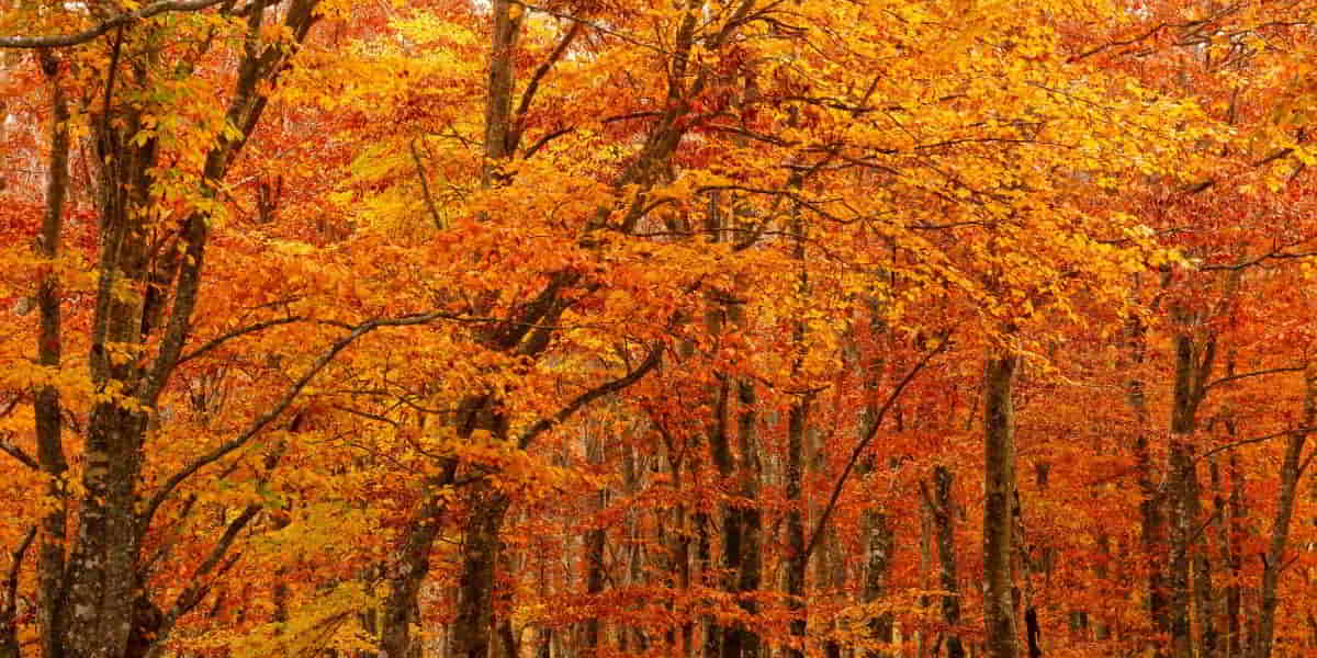 When Herod heard Jesus had been born he felt threatened