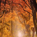 How to respond to Jesus