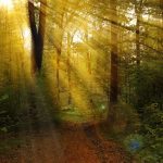 There was no room at the Inn so Jesus was born in a stable