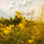 New Years day devotional and prayer