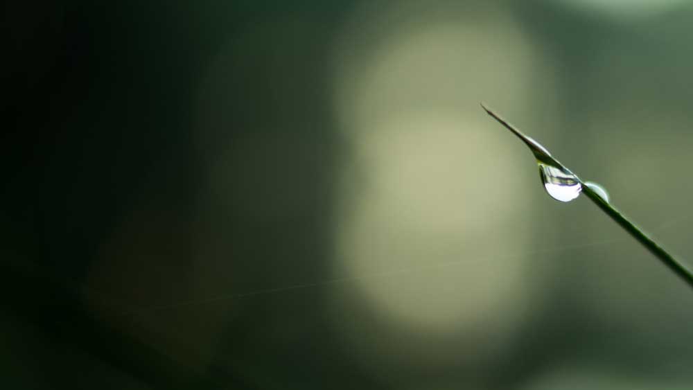 Isaiah prophecy about Jesus' birth