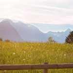 Holy Spirit Bible Reading Plan for August