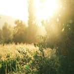 Scripture reading and writing plan for February