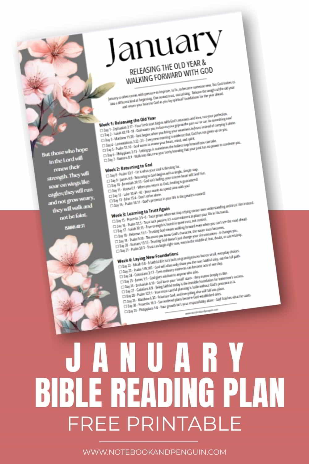 January Bible reading plan Pinterest pin