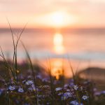 Armor of God Reading And Writing Plan For July Banner