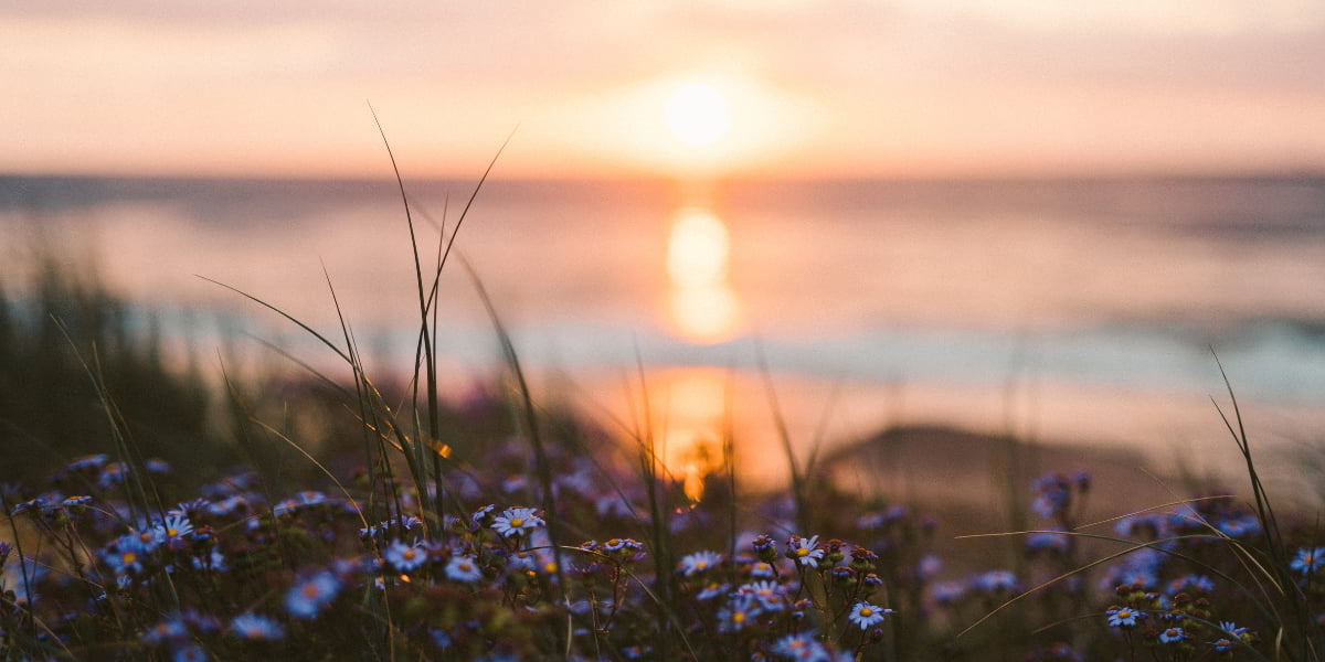 Armor of God Reading And Writing Plan For July Banner