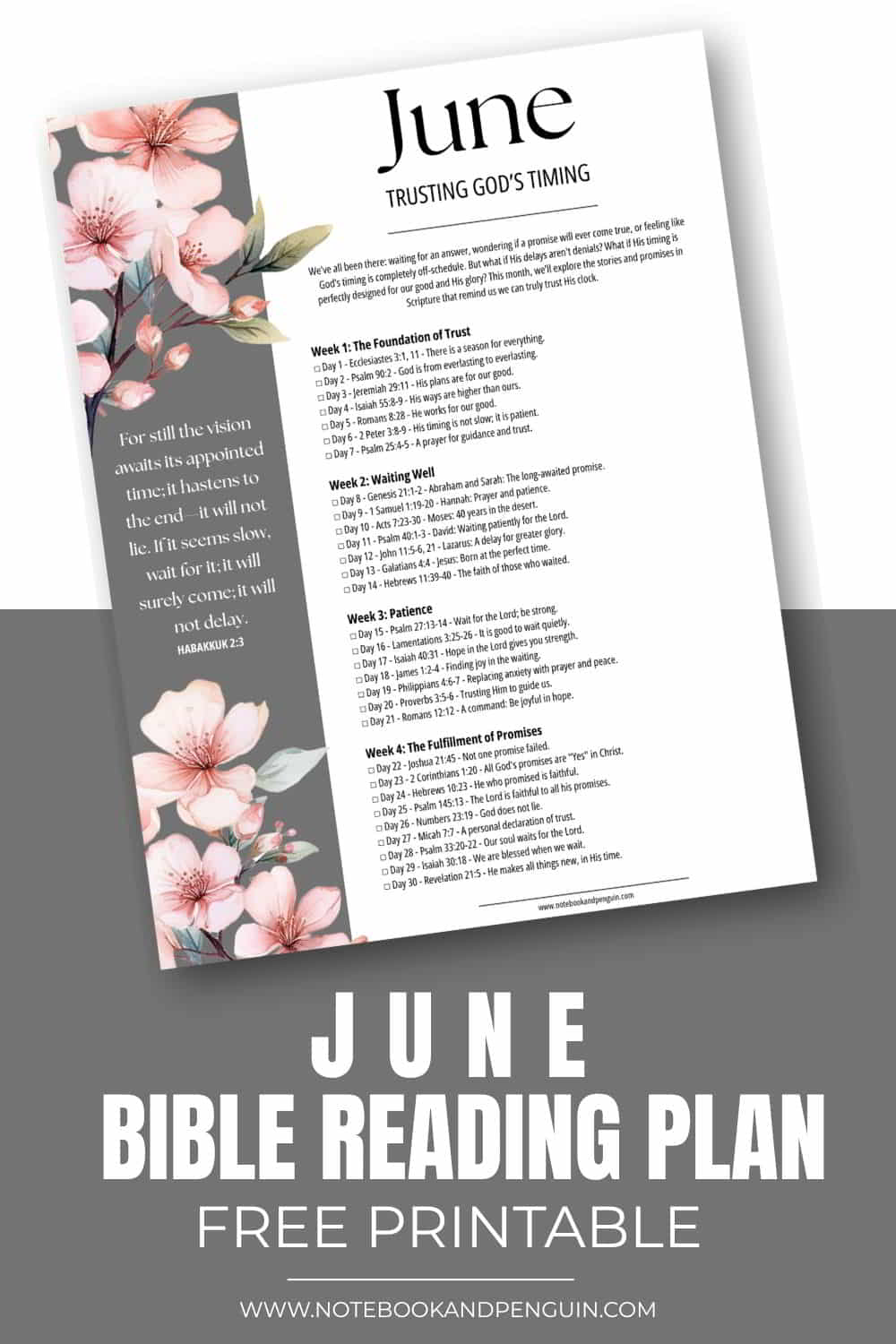 Pinterest pin for June's Bible reading plan